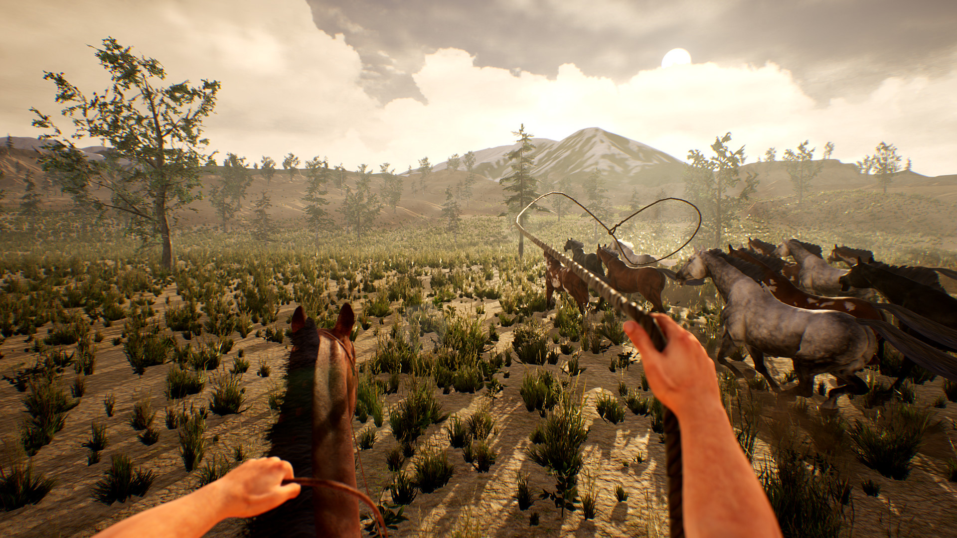 Cowboy Life Simulator