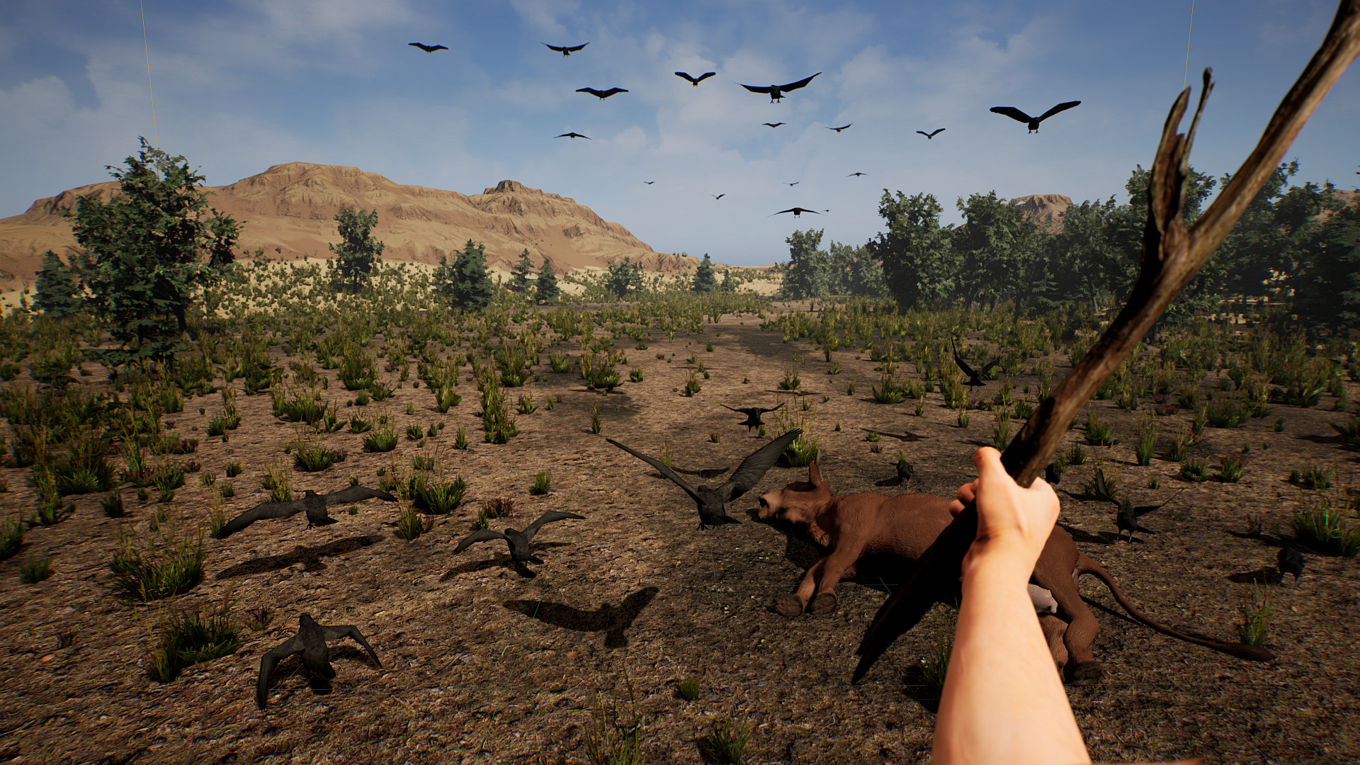 Cowboy Life Simulator