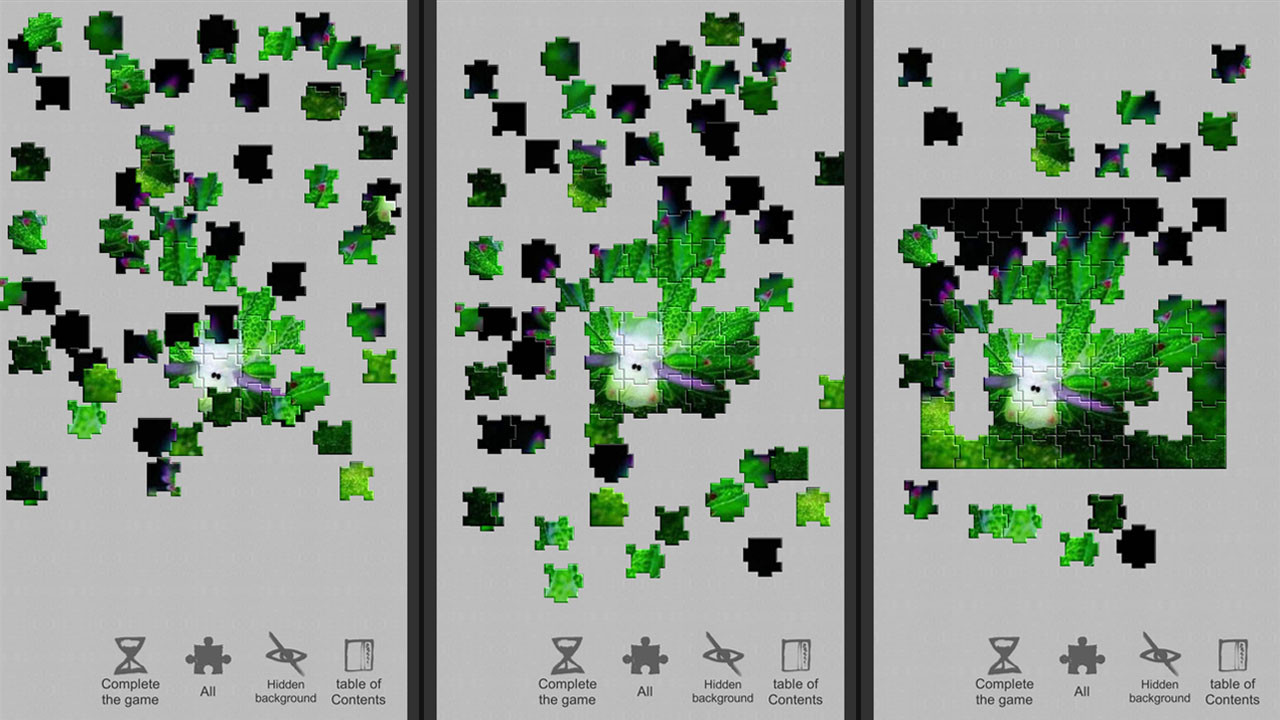 Jigsaw puzzle: Evolution