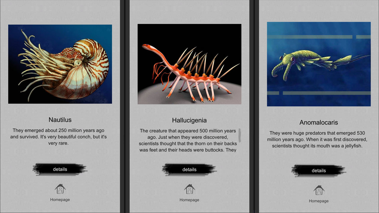Jigsaw puzzle: Evolution