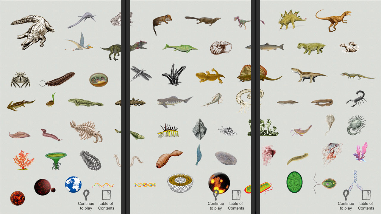 Jigsaw puzzle: Evolution