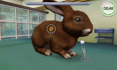 Animal Hospital