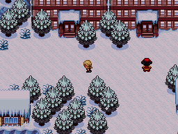 Pokémon Reborn