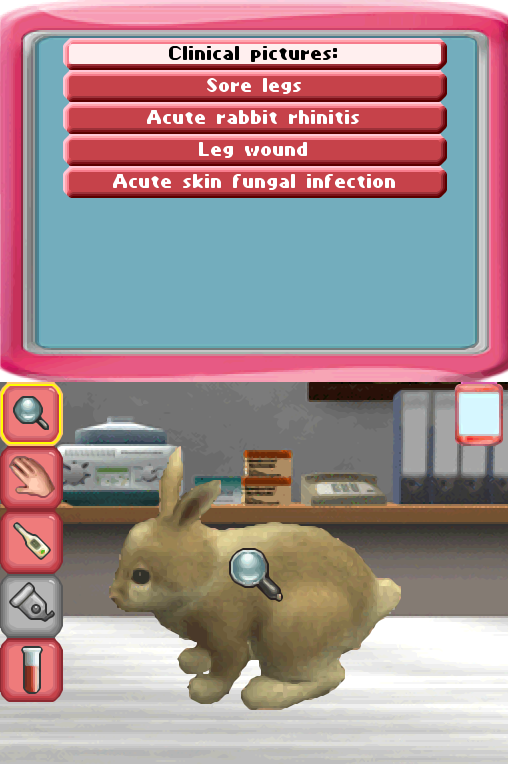 2 in 1 I My Pet Hotel &amp; My Vet Practice: In the Country