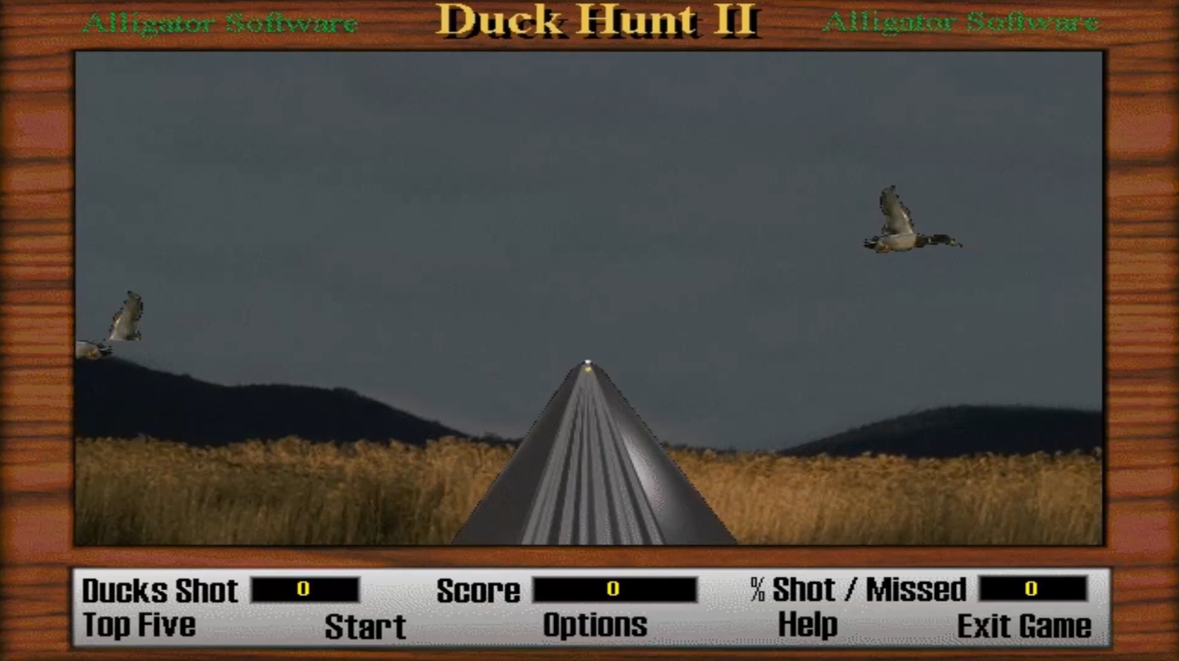 Duck Hunt 2