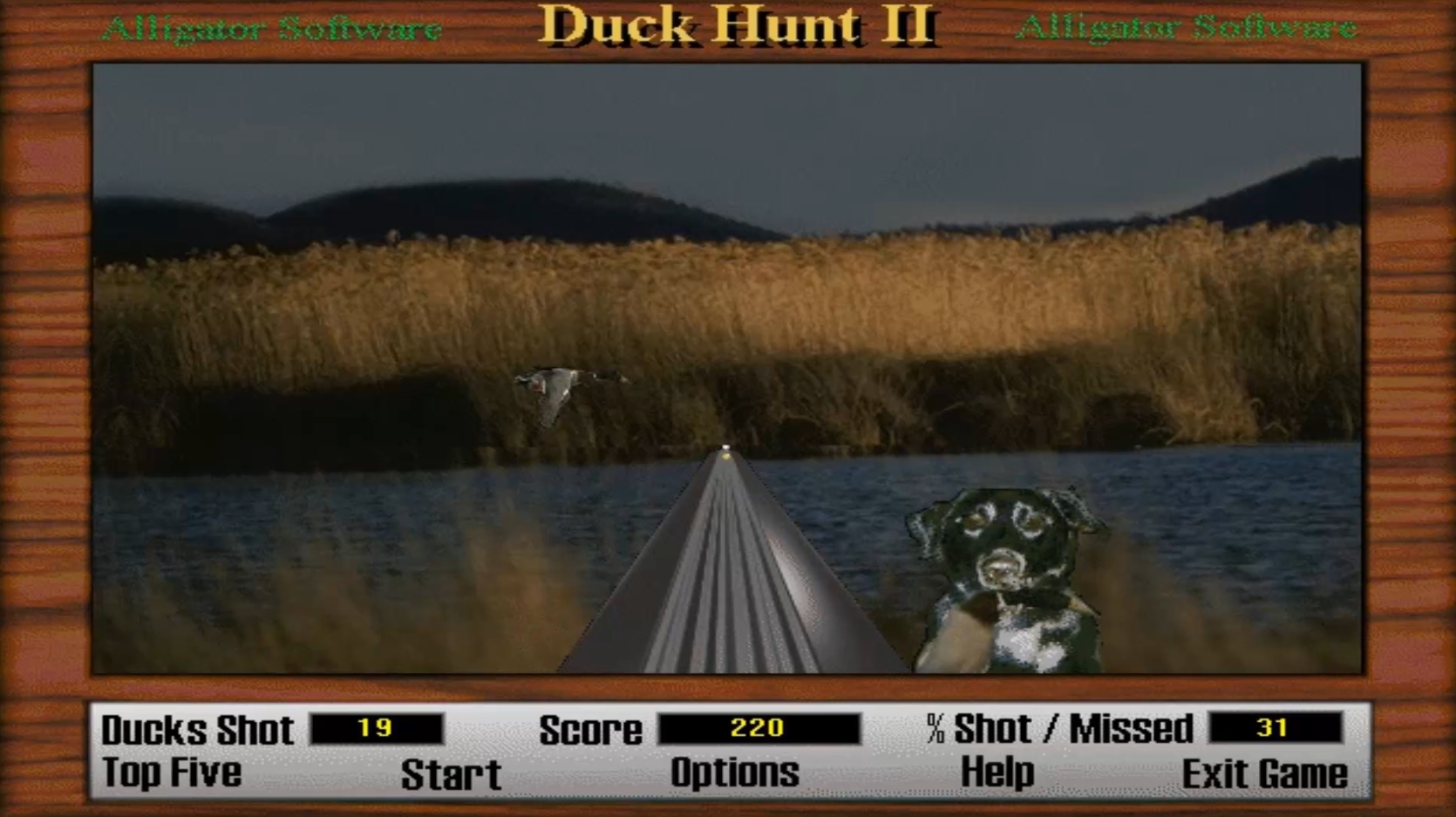 Duck Hunt 2