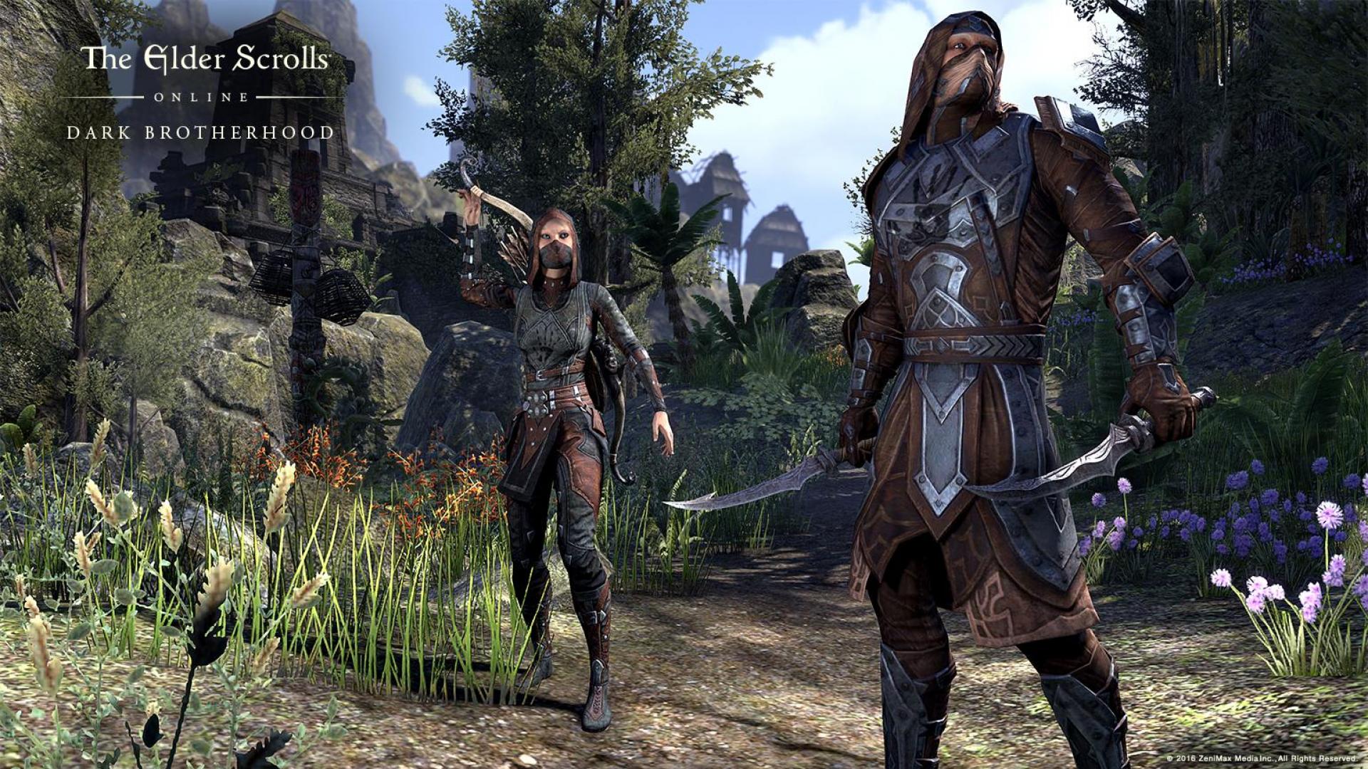 The Elder Scrolls Online: Dark Brotherhood