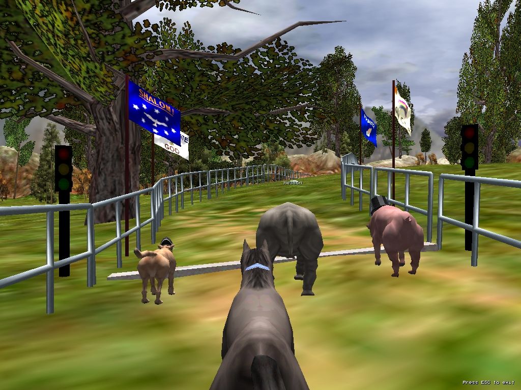 The Zoo Race