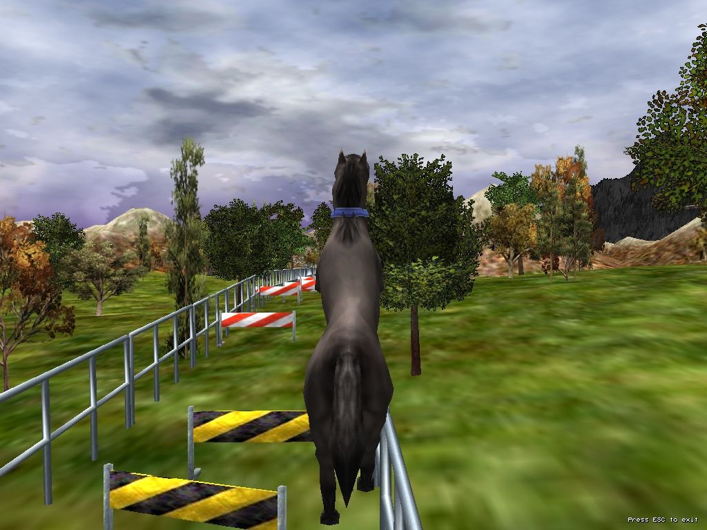 The Zoo Race