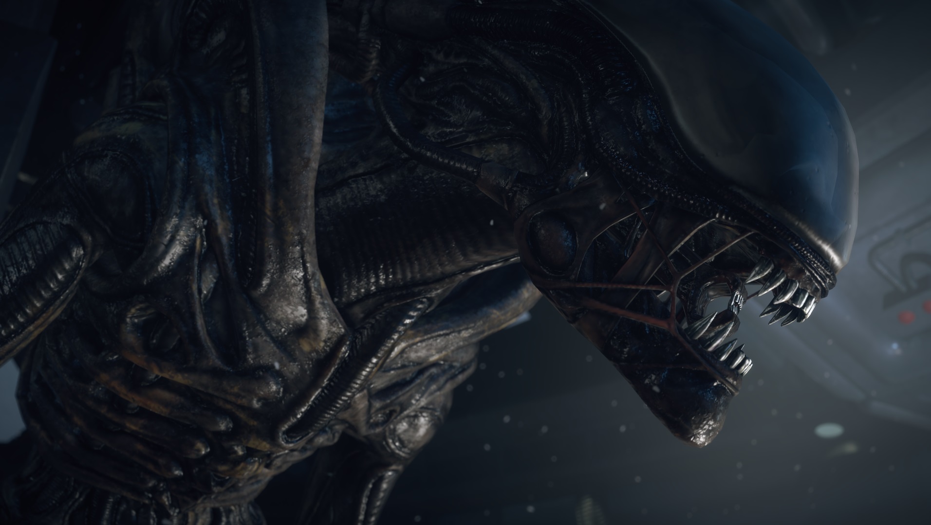 Alien: Isolation – Crew Expendable
