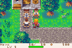 Dokapon: Monster Hunter