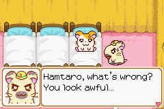 Hamtaro: Ham-Ham Heartbreak