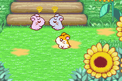Hamtaro: Ham-Ham Heartbreak