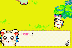 Hamtaro: Rainbow Rescue