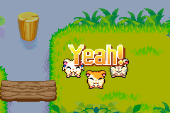 Hamtaro: Rainbow Rescue