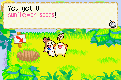Hamtaro: Rainbow Rescue