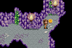Lufia: The Ruins of Lore