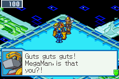 Mega Man Battle Network 5: Team Protoman