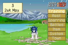 Monster Rancher Advance 2