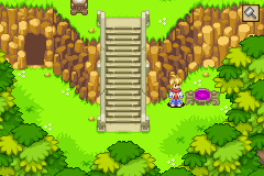 Summon Night: Swordcraft Story 2