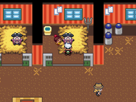 Pokémon Flora Sky