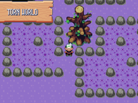 Pokémon Flora Sky