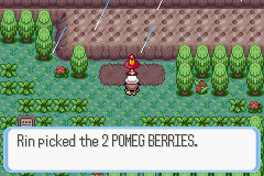 Pokémon Ruby Destiny: Reign of Legends