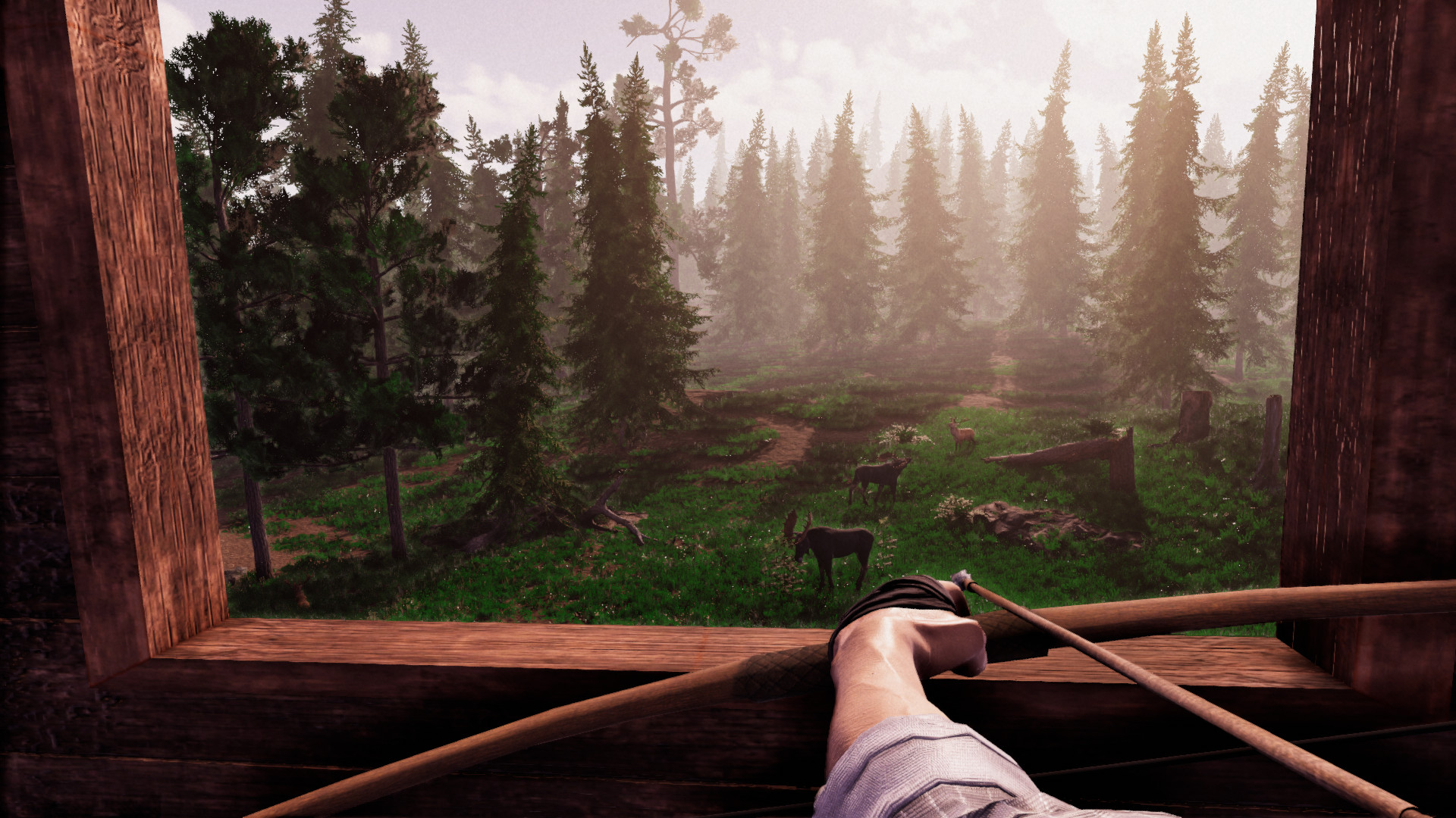 Primitive Hunter