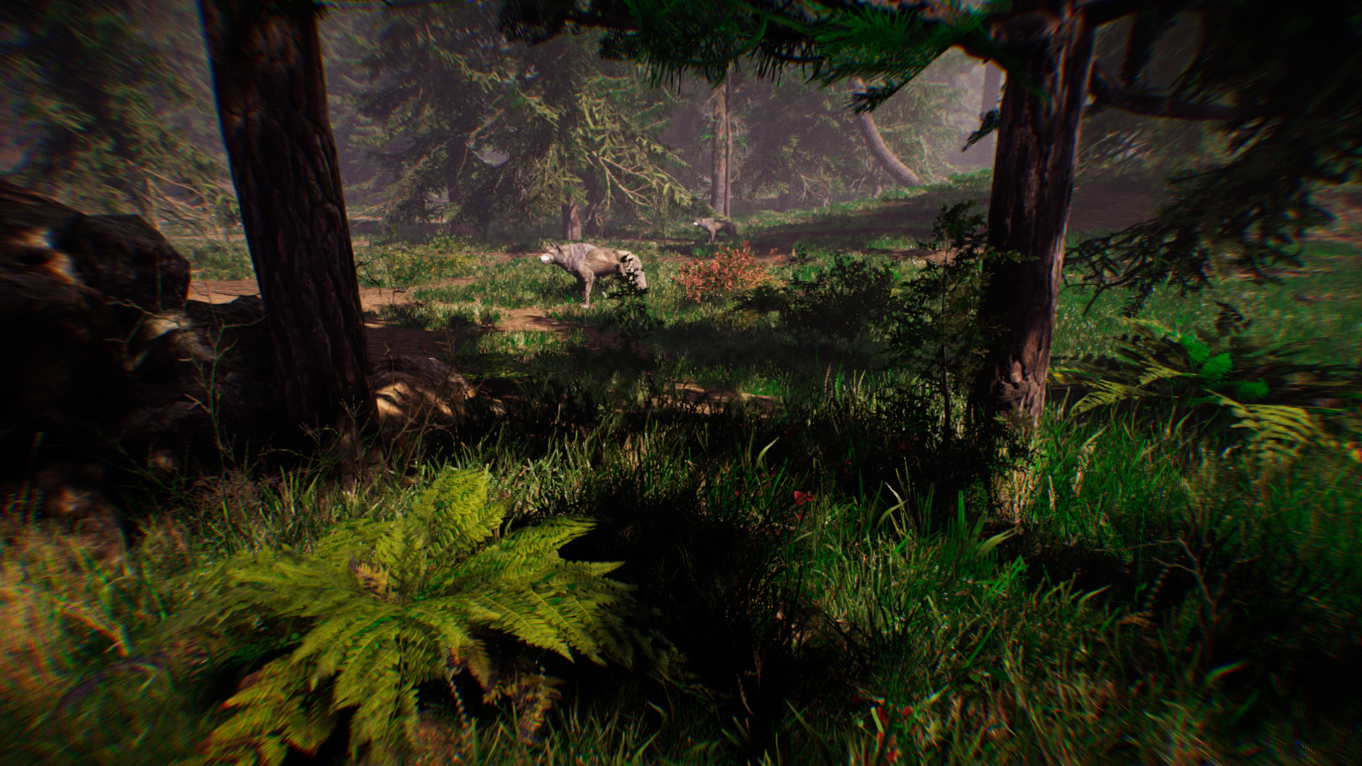 Primitive Hunter