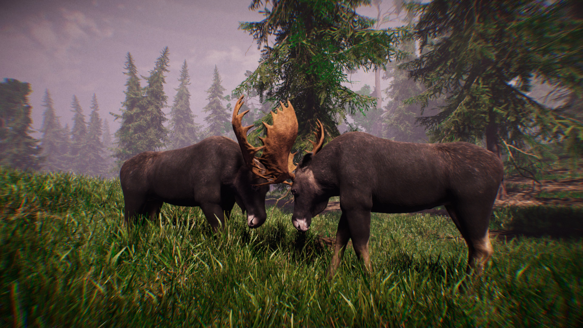 Primitive Hunter