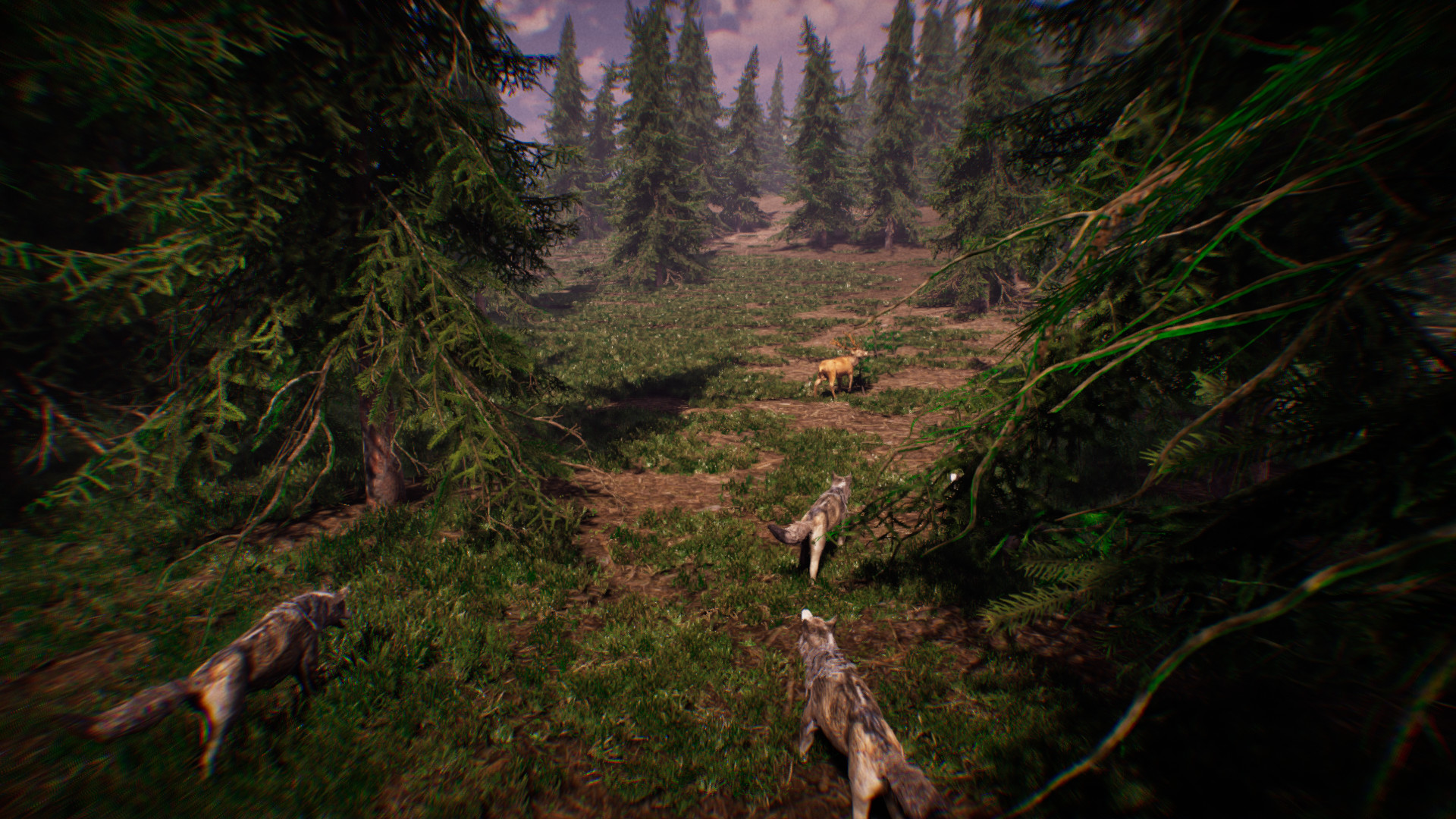 Primitive Hunter