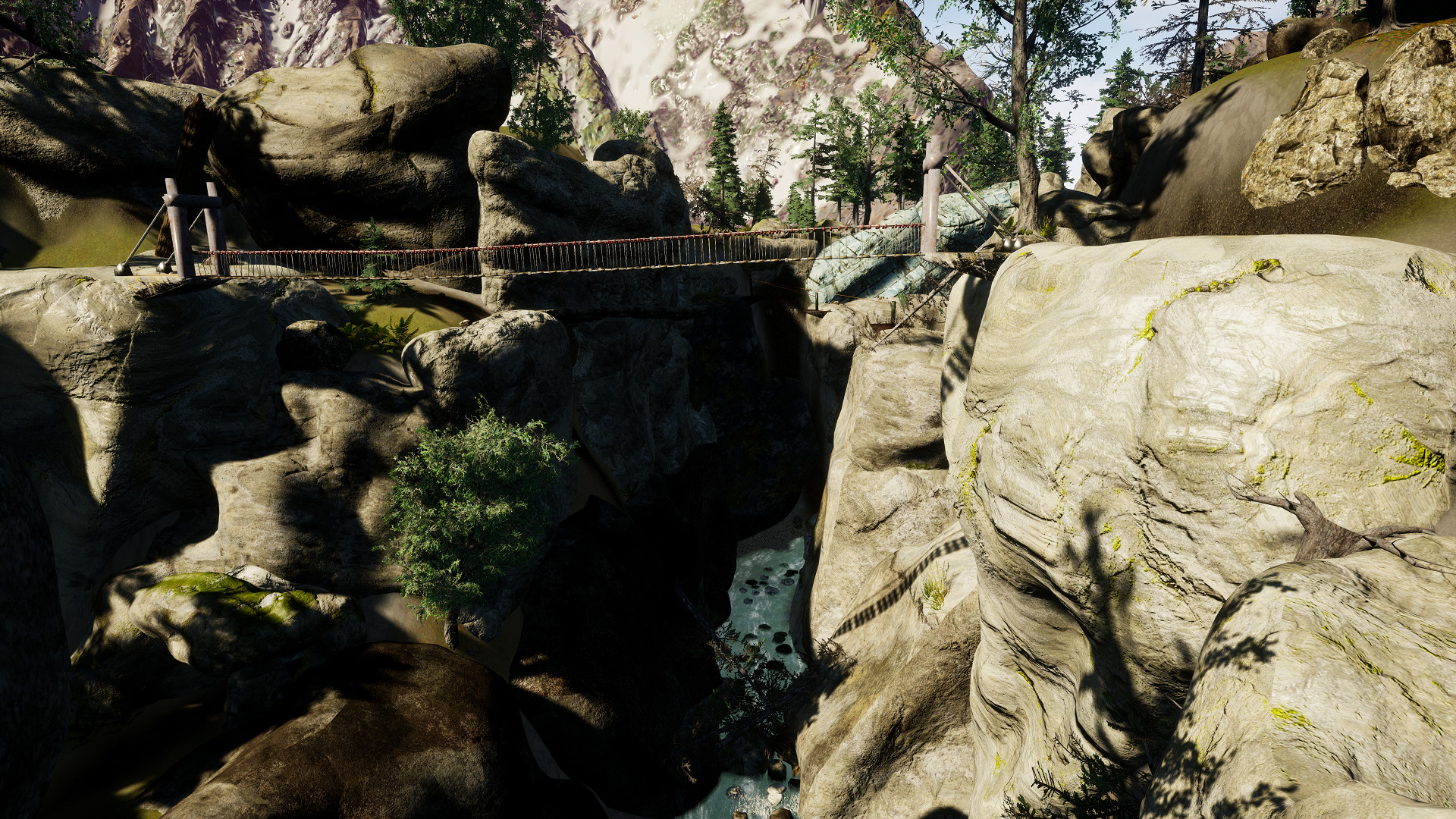 The VR Canyon