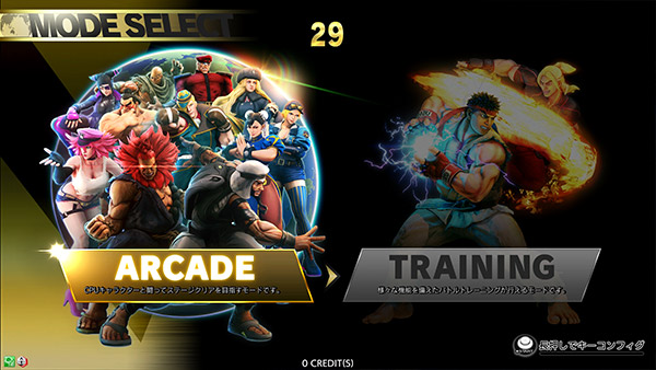 Street Fighter V: Type Arcade