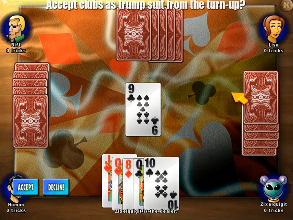 Classic Card Game Euchre
