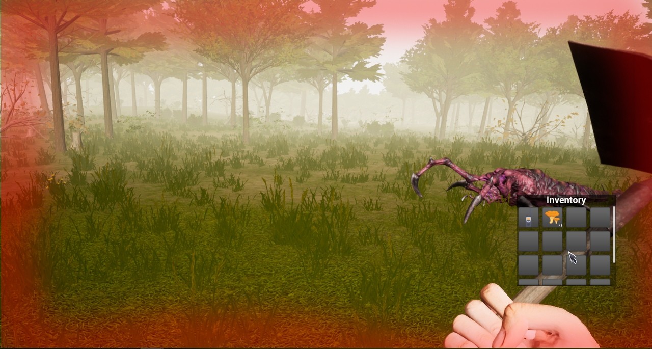 Forest Woodman