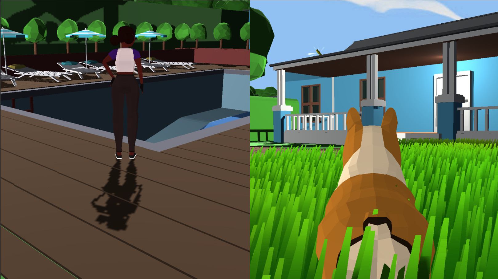 Kika &amp; Daigo: A Curious Tale