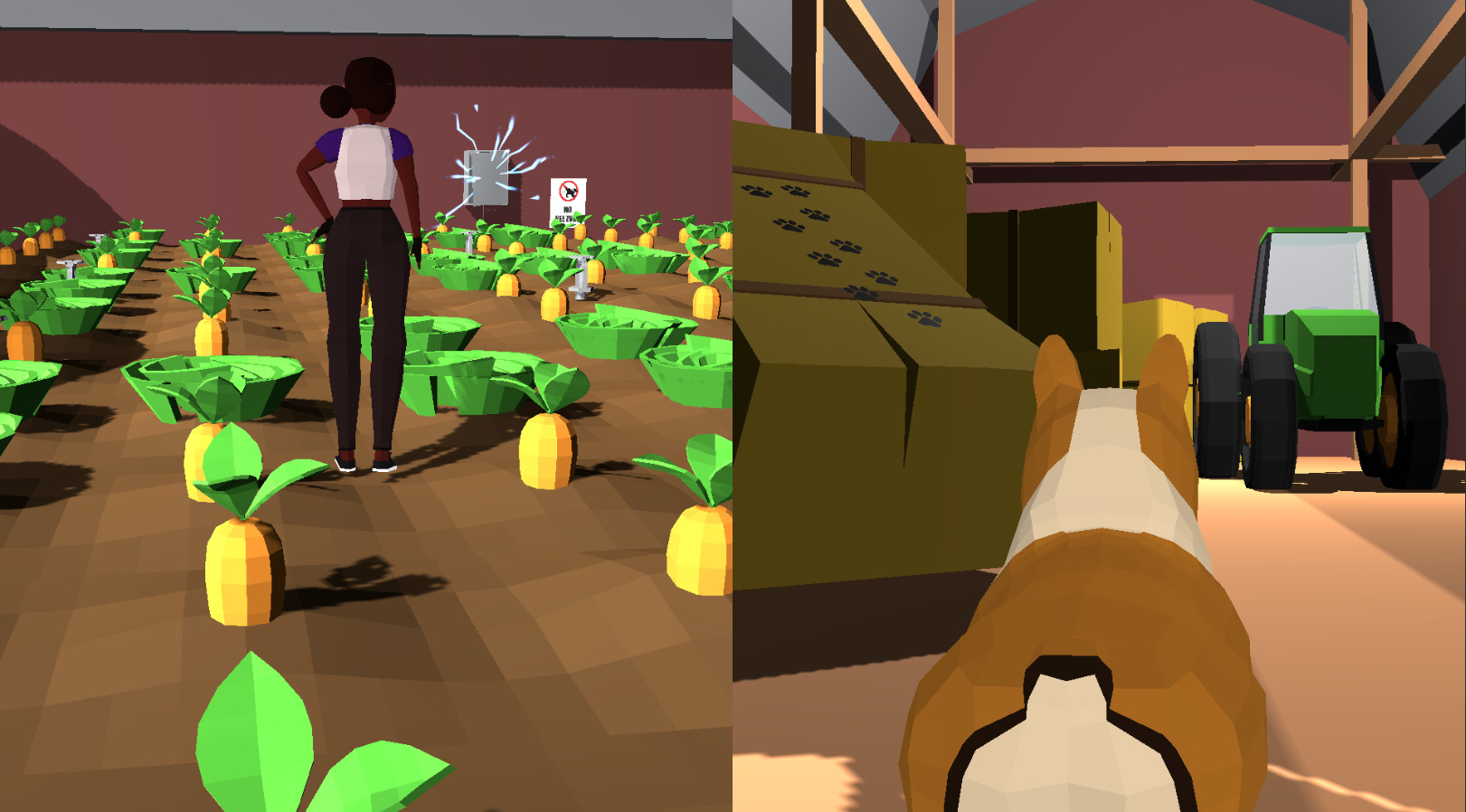 Kika &amp; Daigo: A Curious Tale