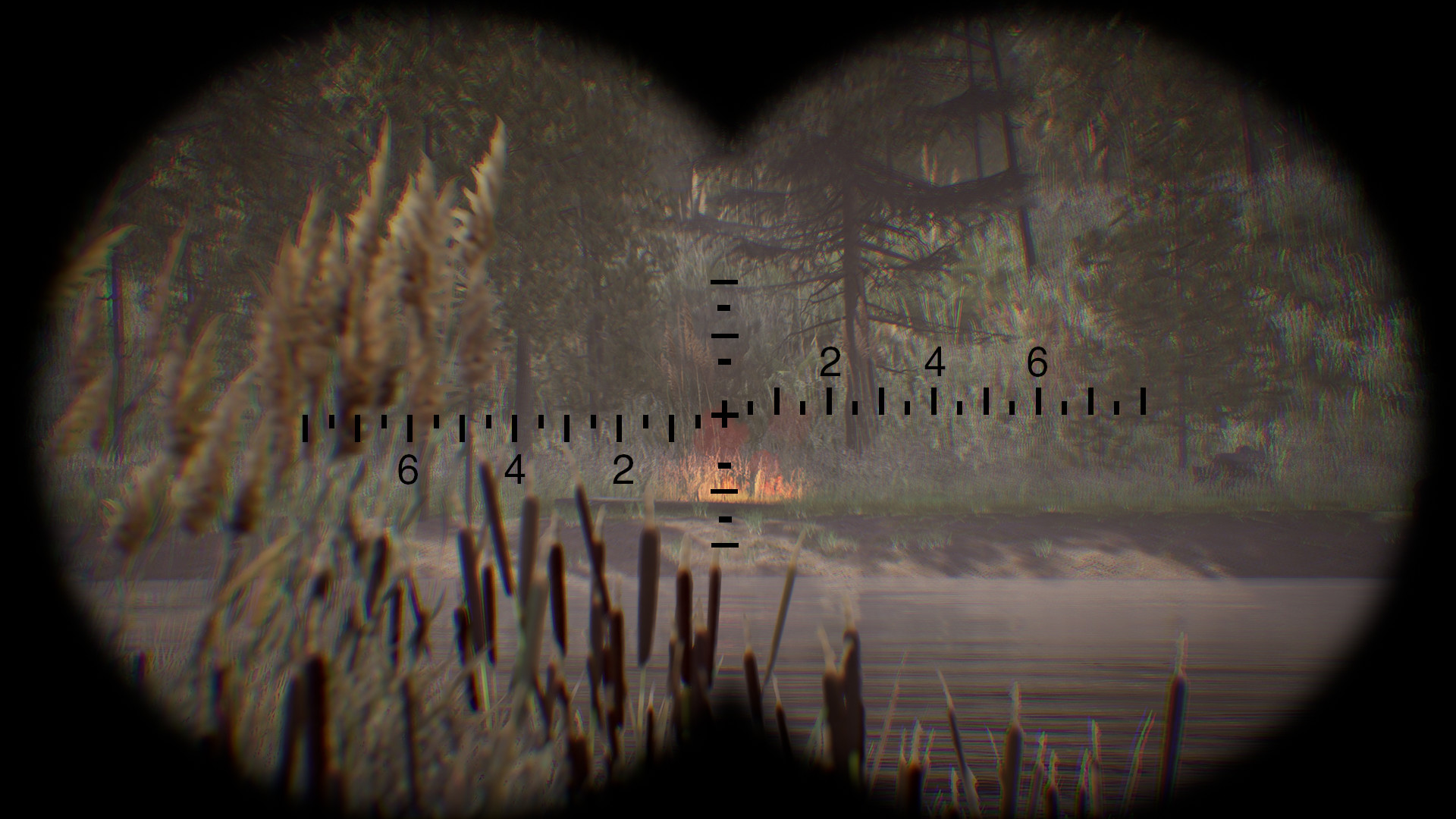 Forest Ranger Simulator