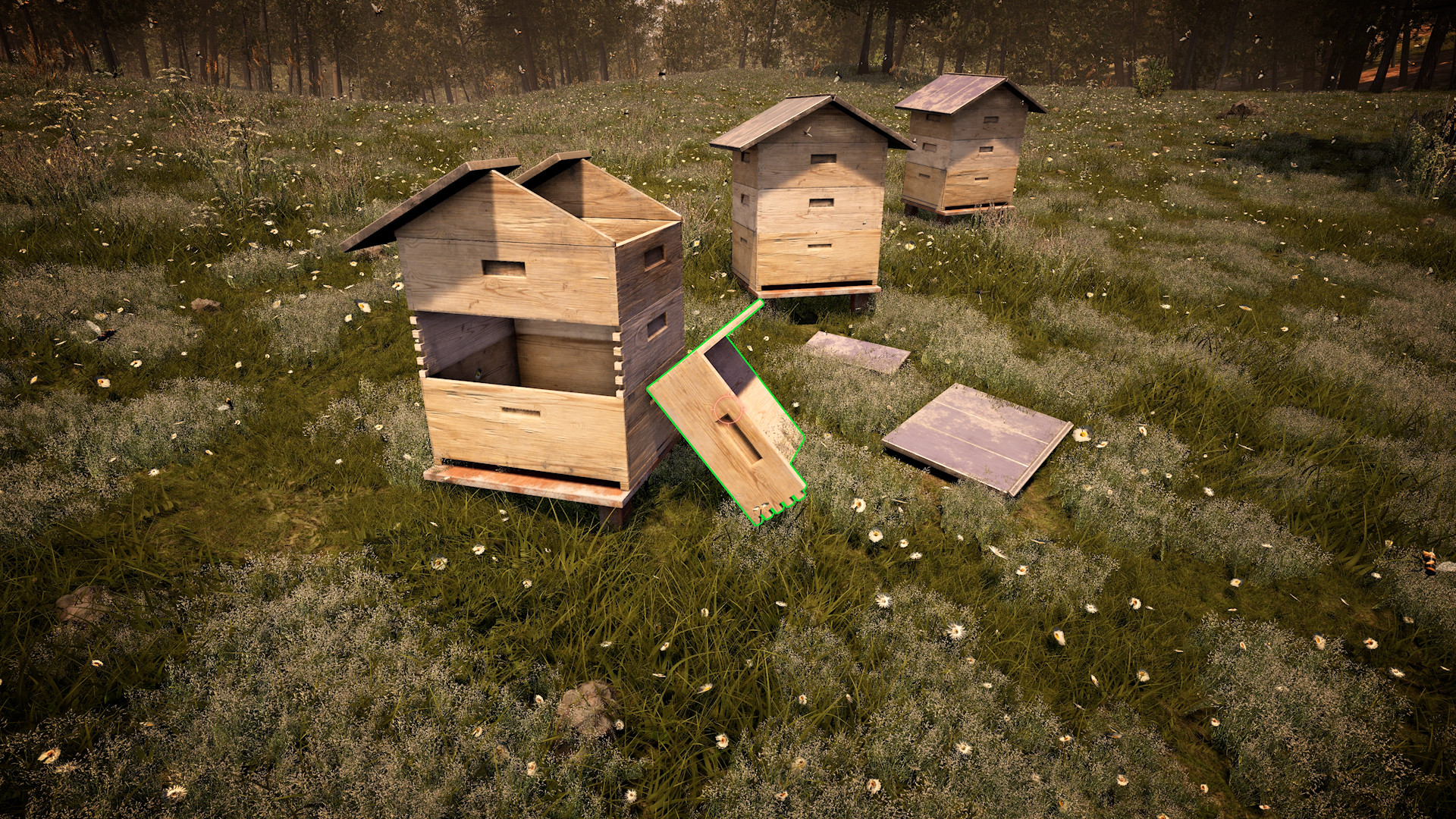 Forest Ranger Simulator