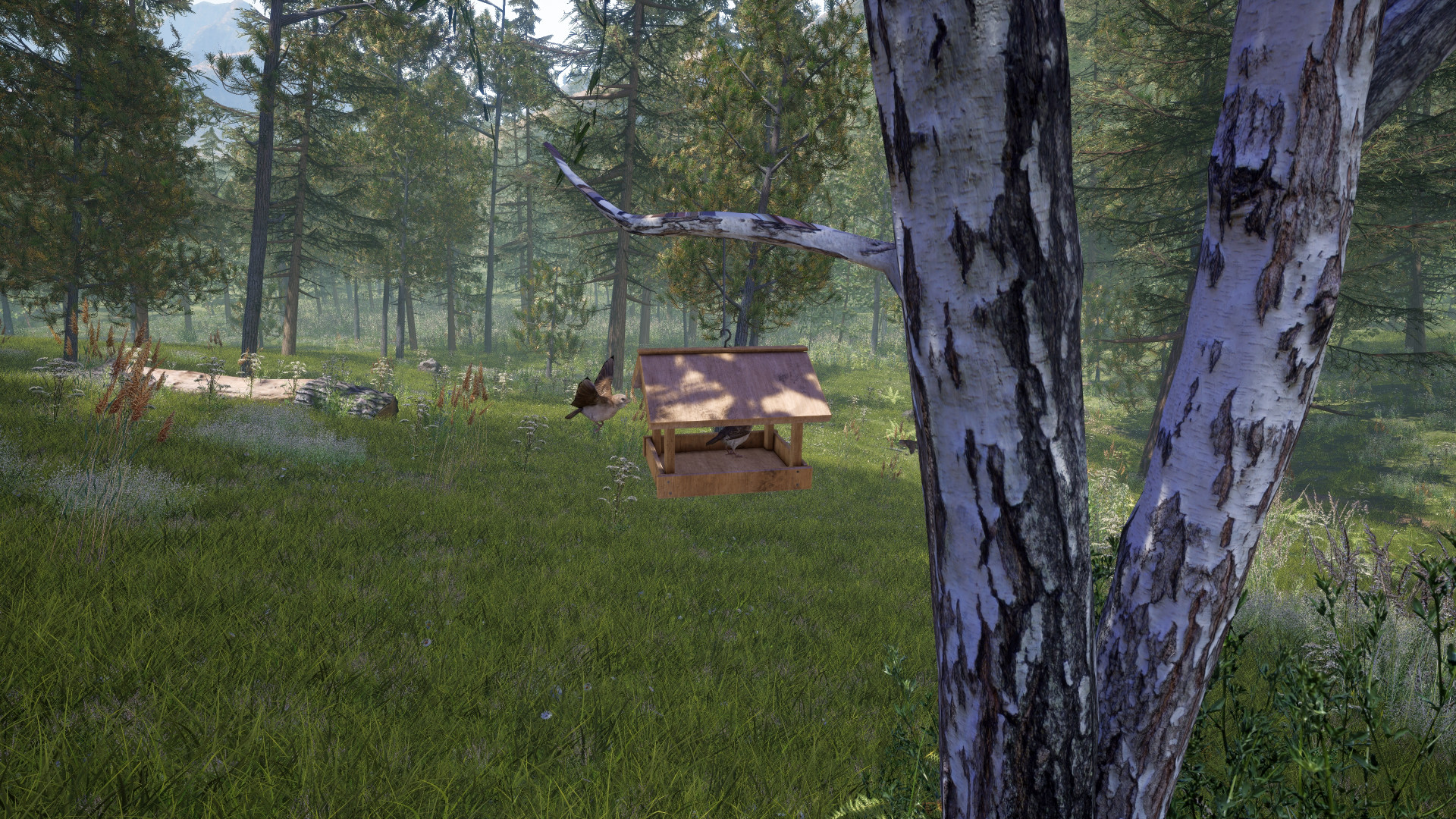Forest Ranger Simulator