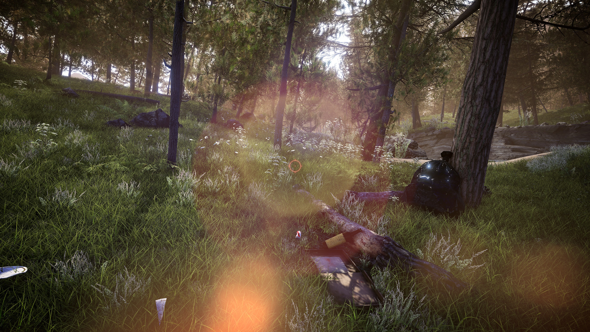 Forest Ranger Simulator