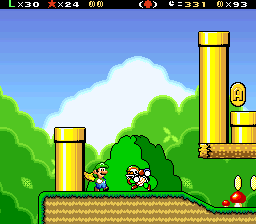 Super Luigi Land