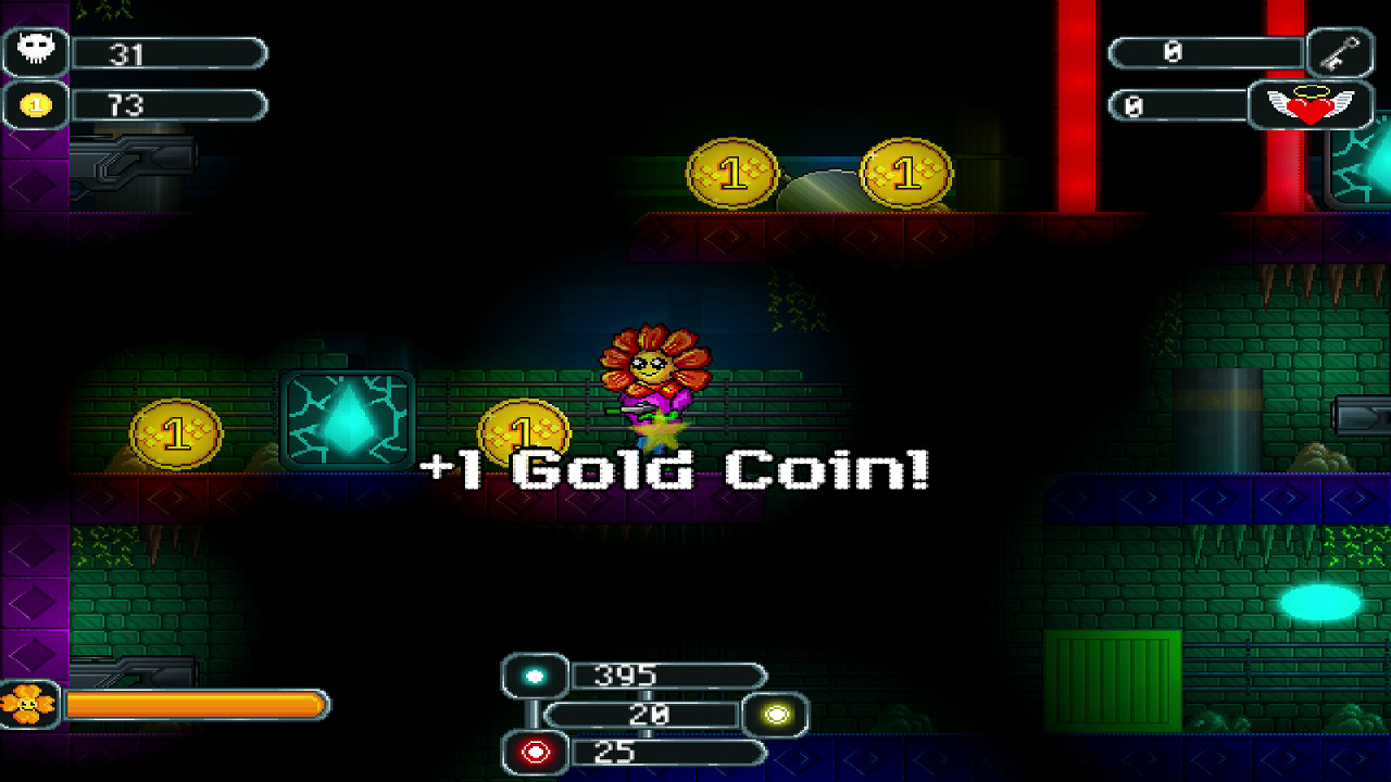 The Valley of Super Flowers