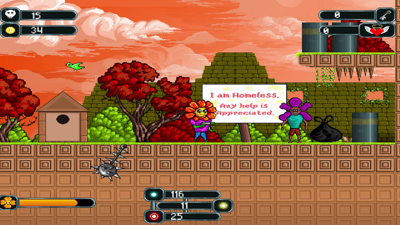 The Valley of Super Flowers