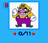 Mario Family