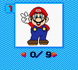 Mario Family