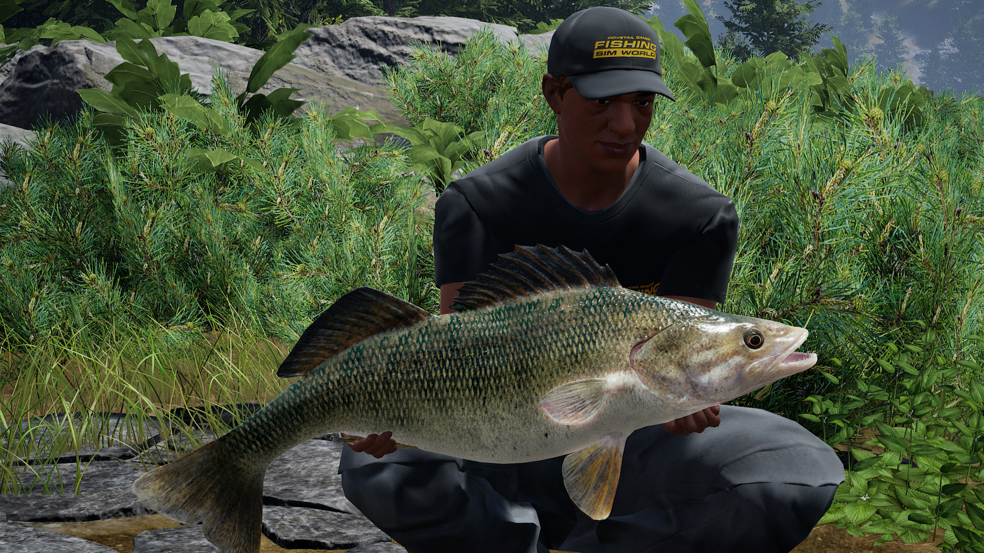 Fishing Sim World: Pro Tour – Collector’s Edition