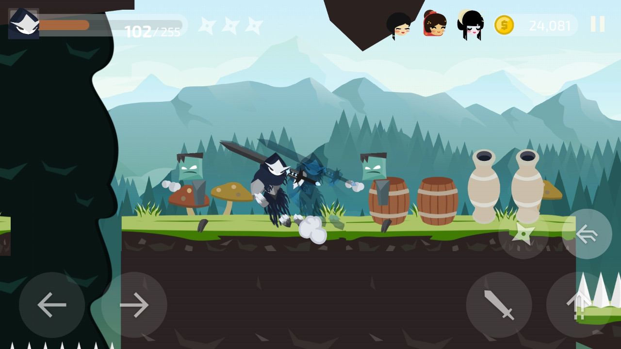 Ninja Knight