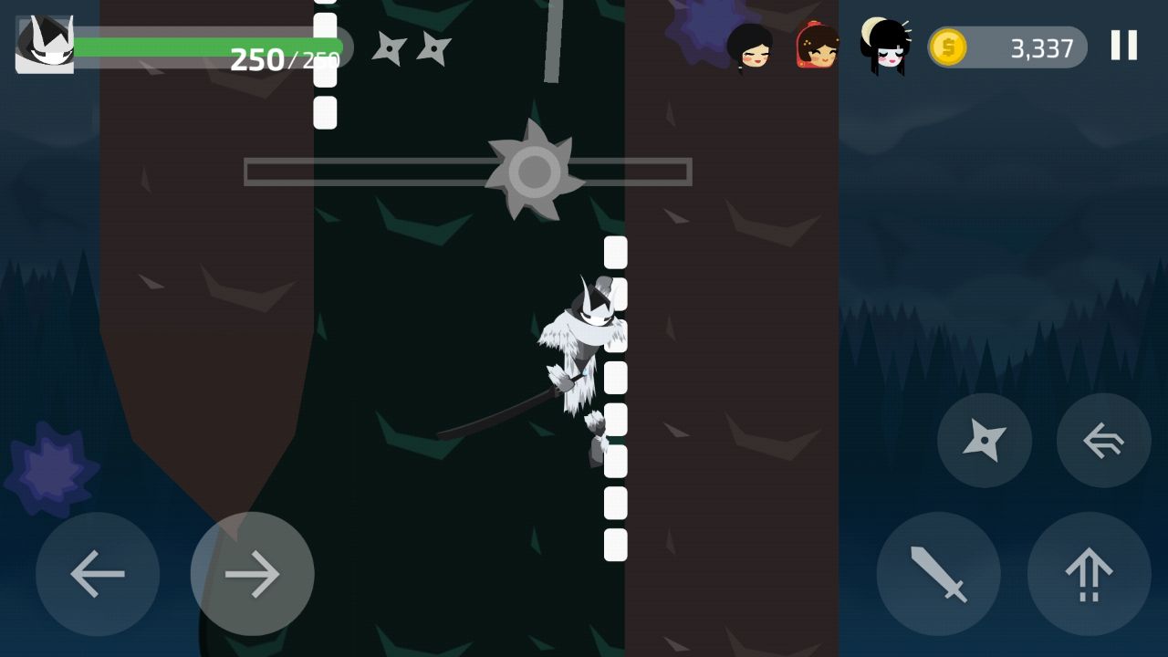 Ninja Knight