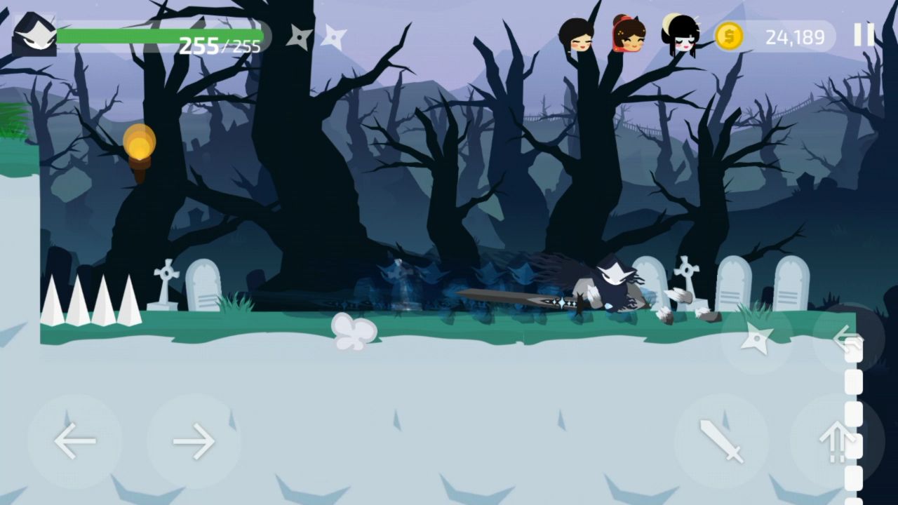 Ninja Knight